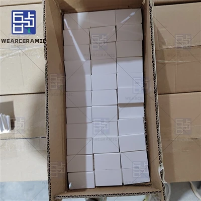 Alumina Ceramic Liners Nrog Interlocking hauv Kev Tsim Khoom: Txhim Kho Bondi...